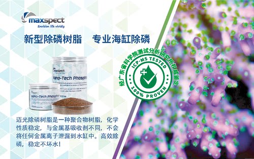 迈光专业净水剂除磷树脂高高效