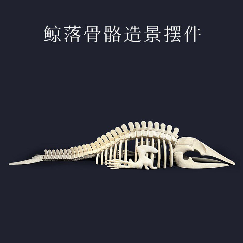 幽影鲸落骨骼造景海水鱼缸FOT缸