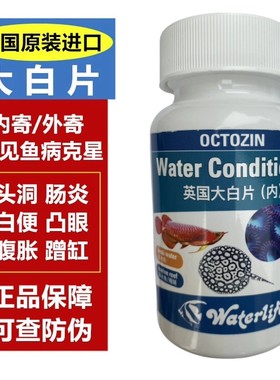 海水鱼内寄大白片英国大白片海水鱼专用FOT缸海水缸检疫专用正品