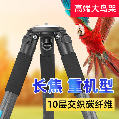 贝欣专业摄影拍鸟碳纤维三脚架