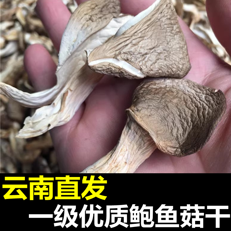 一级鲍鱼菇干货煲汤食材人工菌