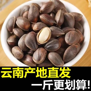 2024年新货云南野生新鲜松子儿坚果原味生的散装落水鲜松子仁一斤