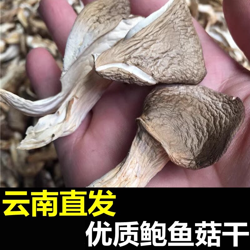 云南直发鲍鱼菇干货油炸炖汤煲汤食材食用菌菇干的菌子类人工菌丝