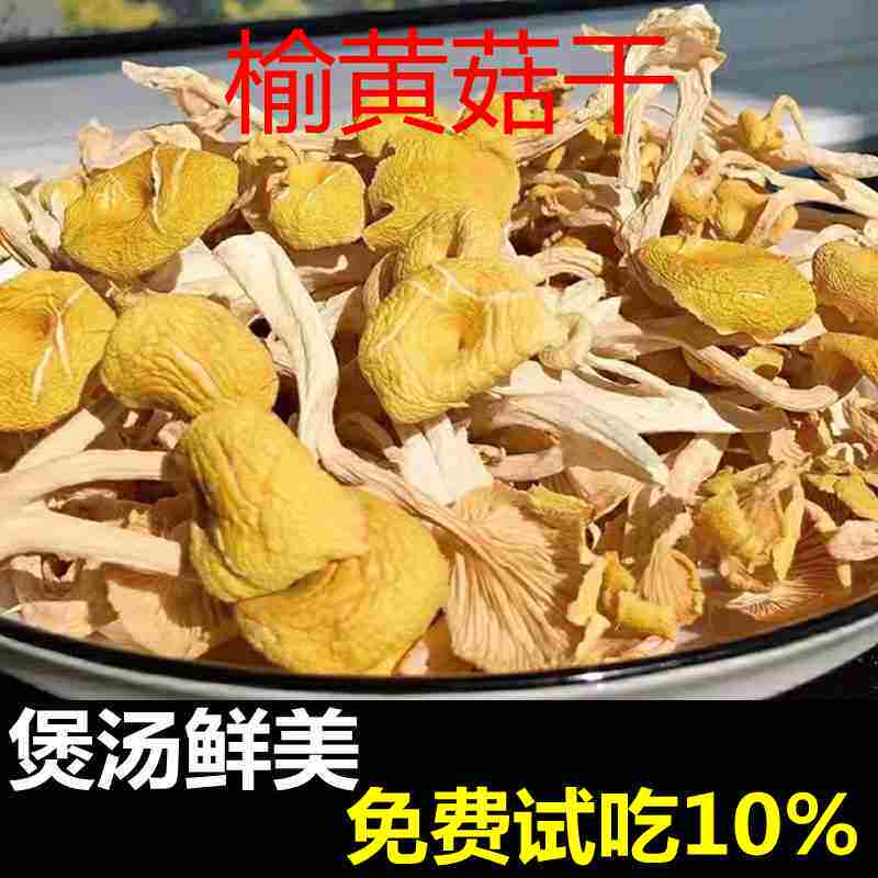 榆黄蘑干货榆黄菇干菌子东北特产