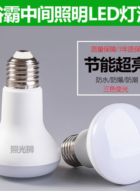 LED浴霸灯泡家用卫生间照明灯泡