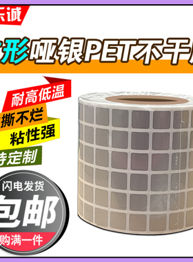 正方形亚银纸PET不干胶10*10*12*12*15*15*20*20*30*50哑银消银龙