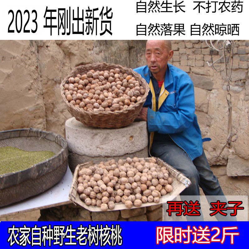 山西2025今年新鲜孕妇野生核桃5五斤10斤新货散装农家自产无添加