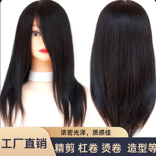 美发头模真发理发店学徒练习剪发模特头可精剪烫卷吹风造型公仔头