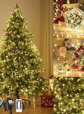 NewLED light string color light string圣诞节日绿线铜线灯串灯