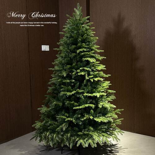 Christmas tree encrypted with lights Christmas decoration