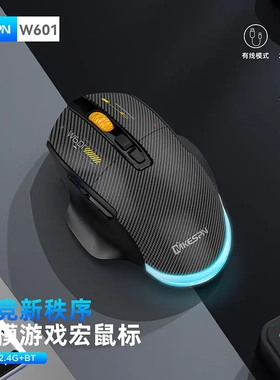 Bluetooth Mouse Wireless Gaming Mouse蓝牙鼠标无线三模游戏鼠