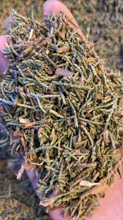 藏地海拔3千以上的柏树叶粉末粗粉烟供火供粉藏香原料粉熏香粉1斤