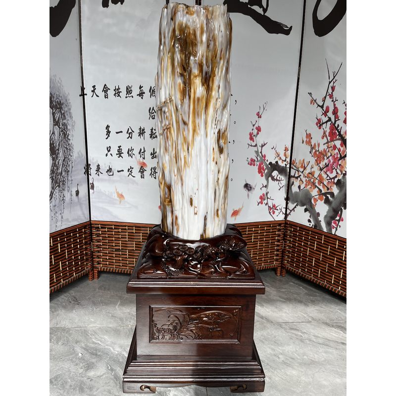 精品缅甸树化玉天然原石摆件冰种木化玉客厅办公室奇石收藏观赏石