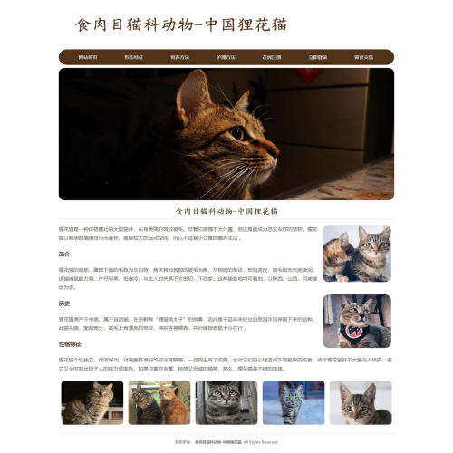 宠物网页成品 猫科动物-中国狸花猫 7页 自然猫宠物猫 HTML5+CSS3