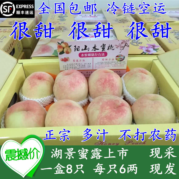 正宗阳山水蜜桃5-6两8只礼盒无锡白凤软桃甜湖景桃孕妇宝当季水果