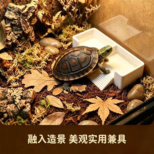 爬宠二合一喂食盆防打翻双格易清洗防滑底座养鱼小龟螃蟹蜥蜴喂食