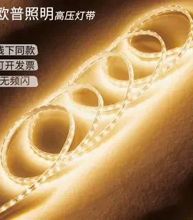欧普高压220V户外防水LED灯带