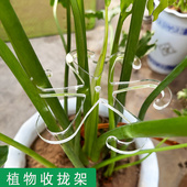 植物防倒伏支架龟背竹支撑杆春羽绿植物固定器花卉水培收拢固定架