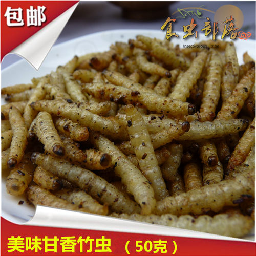 昆虫竹虫食虫部落竹虫油炸虫子