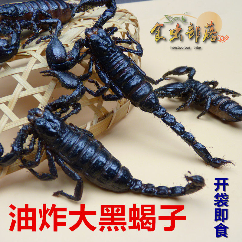 油炸大黑蝎子美味食用昆虫雨林蝎帝王蝎子蜈蚣蜘蛛即食美食