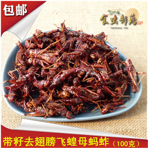 蚂蚱食虫部落油炸虫子