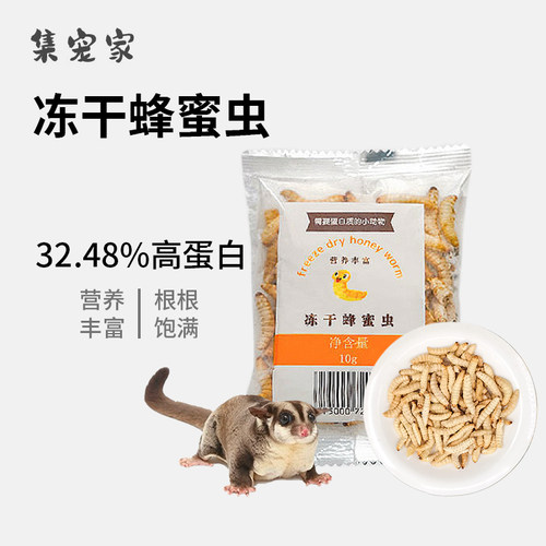 蜜袋鼯零食冻干蜂蜜虫蛋白质粮食