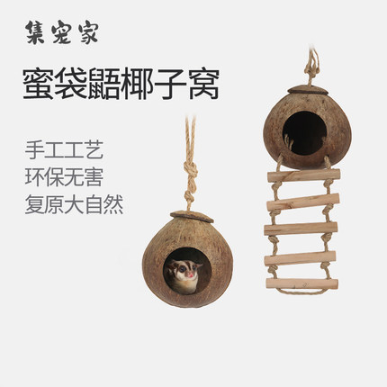 蜜袋鼯四季窝椰子壳纯天然躲避屋楼梯攀爬窝玩具松鼠金丝熊耐咬