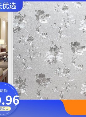 Window glass sticker transparent opaque household toilet