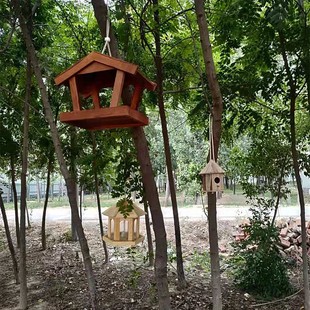 喂鸟器户外防雨悬挂式野外小鸟窝引鸟防撒食盒阳台庭院装饰幼儿园