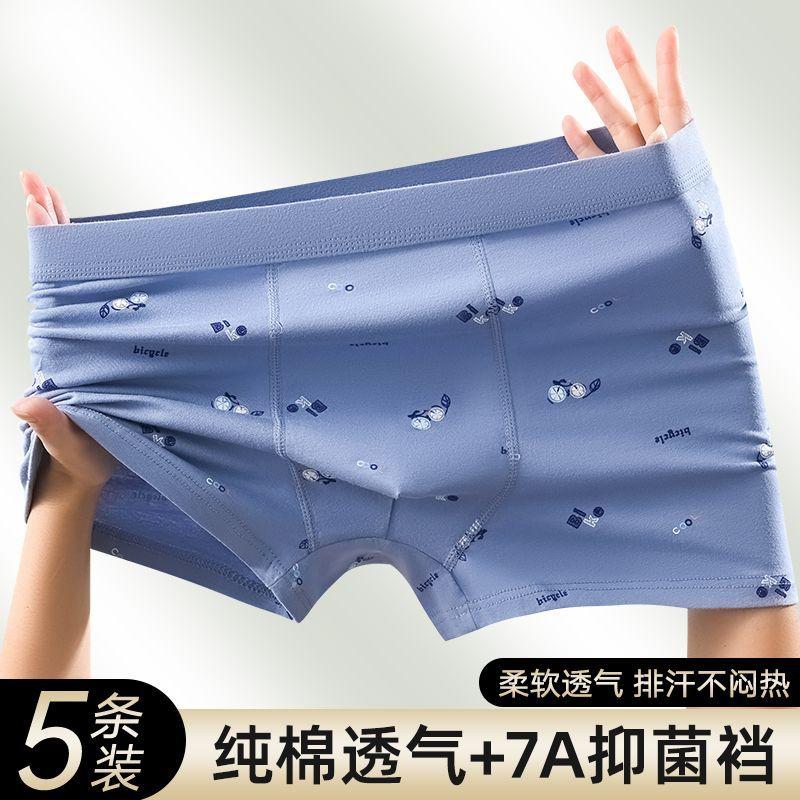 男士纯棉内裤四角裤男生全棉新款抗菌透气青年平角短裤大码裤男款