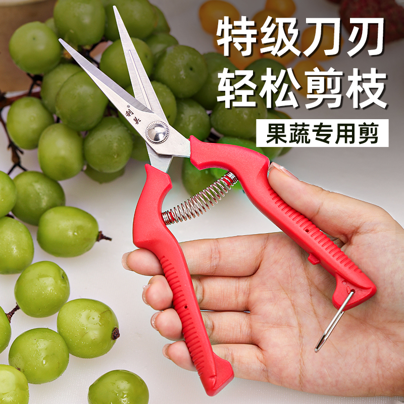 果蔬专用剪修剪葡萄枝荔枝摘取果子剪刀修花蔬果剪树枝利关牌小剪,居家日用,园艺刀剪,淘宝优惠券,粉丝福利购,淘宝优惠卷