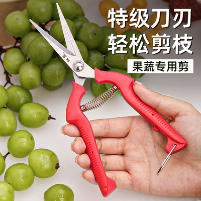 果蔬专用剪修剪葡萄枝荔枝