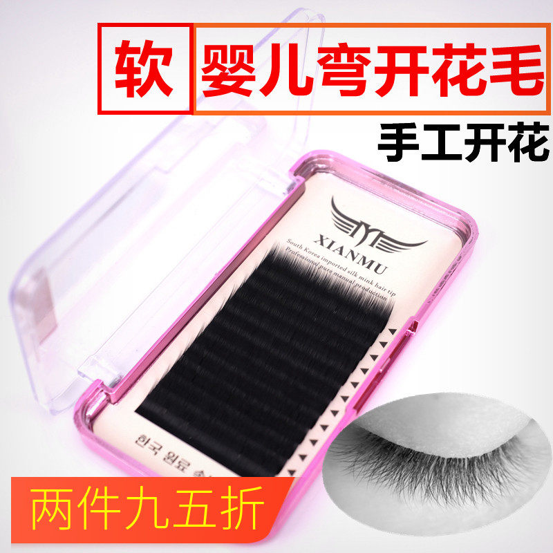 婴儿弯山茶花嫁接睫毛活根散根