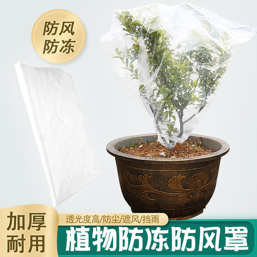 植物果树木透气防冻罩子保暖罩