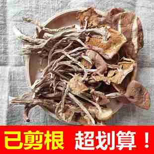 干茶树菇干货商用开伞剪根批煲汤茶树菌剪脚发一斤超值净重500g