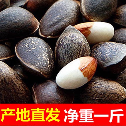 云南产地直发原味野生黑松子新鲜大颗粒落水零食坚果喂松鼠鸟动物