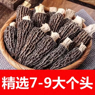 头茬大号个头7-9羊肚菌蘑菇干货食材好货精选云南半剪柄脚100g克