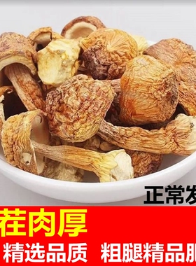 精选品质姬松茸干货500g食用菌云南特产巴西菇干菌类干货煲汤材料