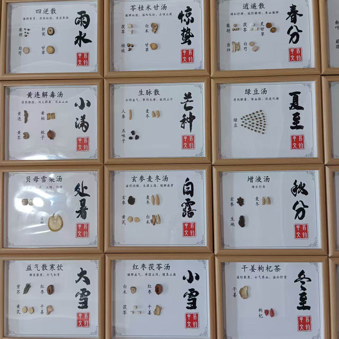 中药标本装饰画24节气中药标本中医馆展示墙茶饮文创展示摆件相框