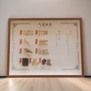 中医文创九大体质标本中草药材单品展示装饰画摆件背景墙中医宣传