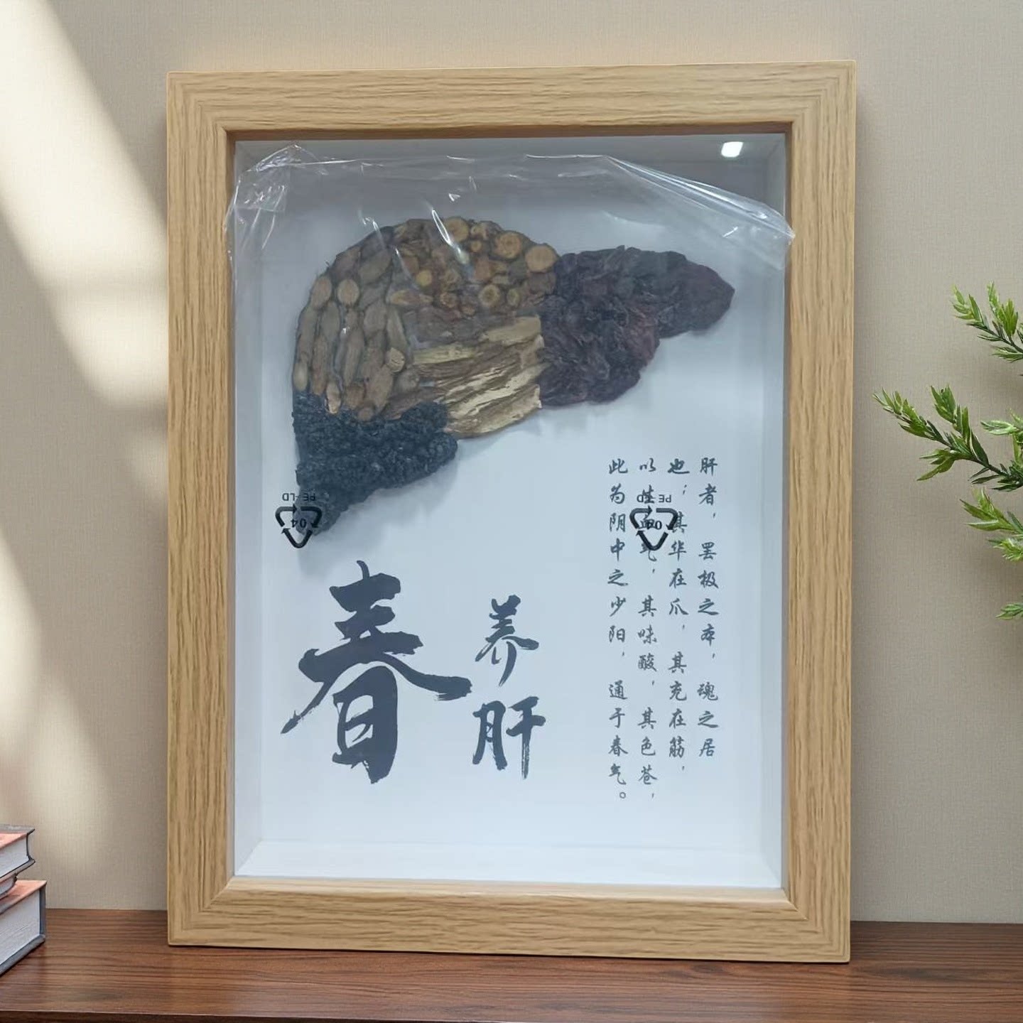 中草药标本装饰画 五脏六腑中药相框摆件 创意中药挂件展示