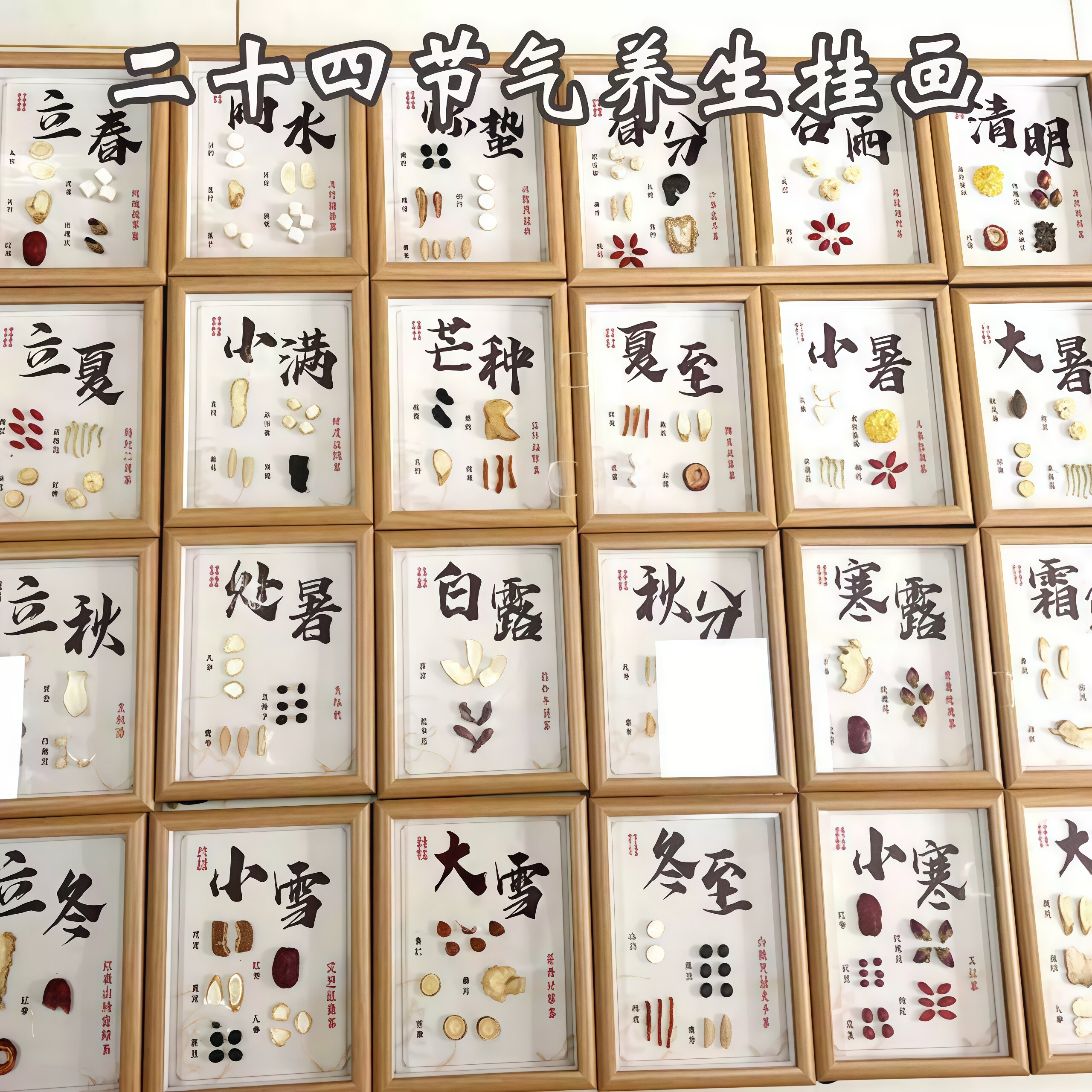 二十四节气中草药标本画中药医馆墙药食同源茶饮文创养生展示摆件