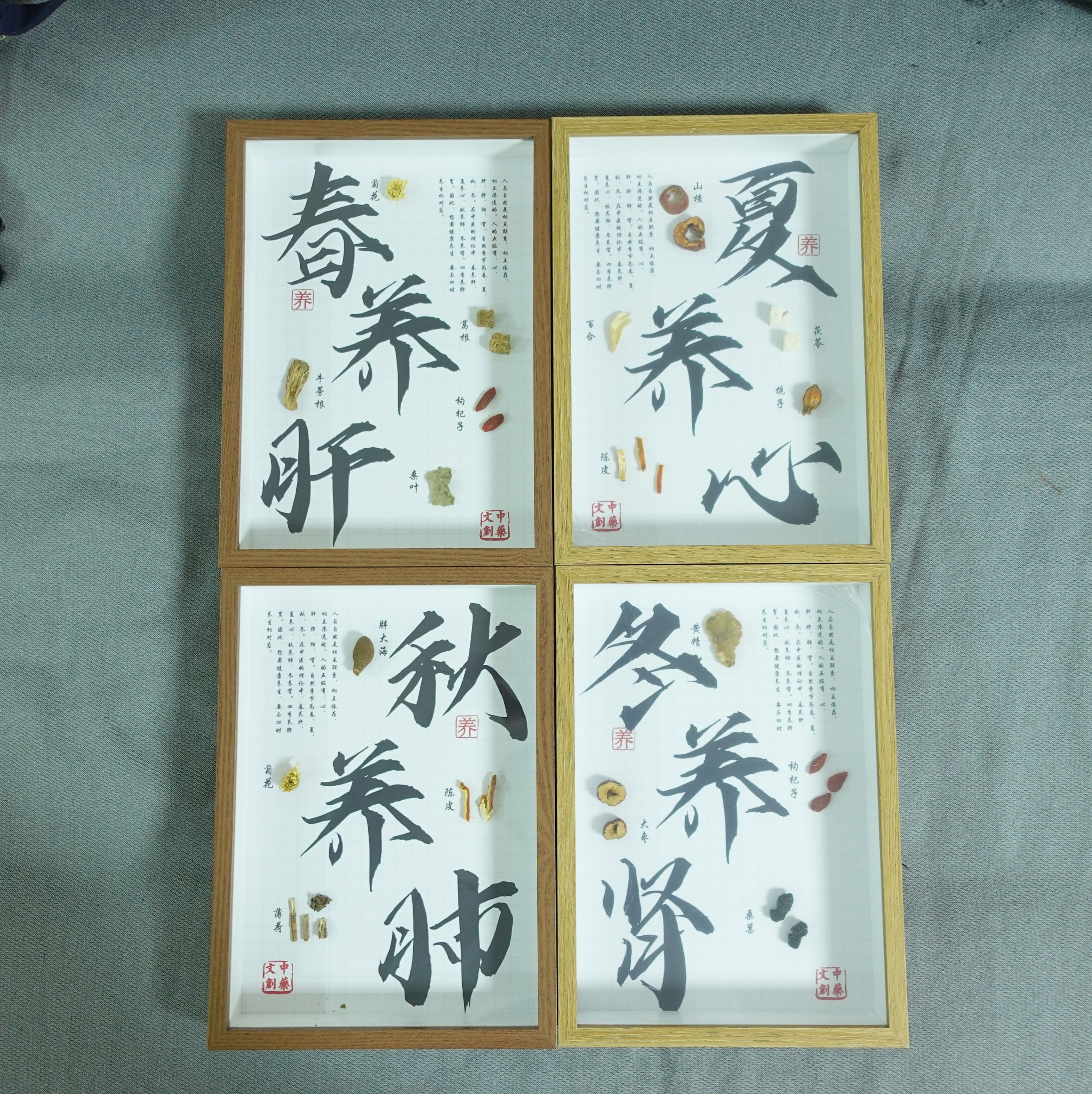 中医文创春夏秋冬中药标本展示中药材装饰画中草药标本相框标本画
