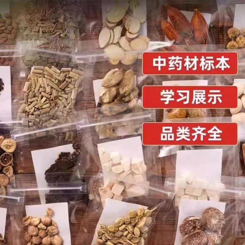 中药标本袋装常用500味中草药标本教学样品学习工具袋中药材标本
