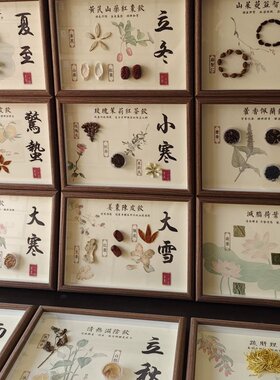 二十四节气中医药标本装饰画24节气茶饮文创展示摆件中式墙面装饰