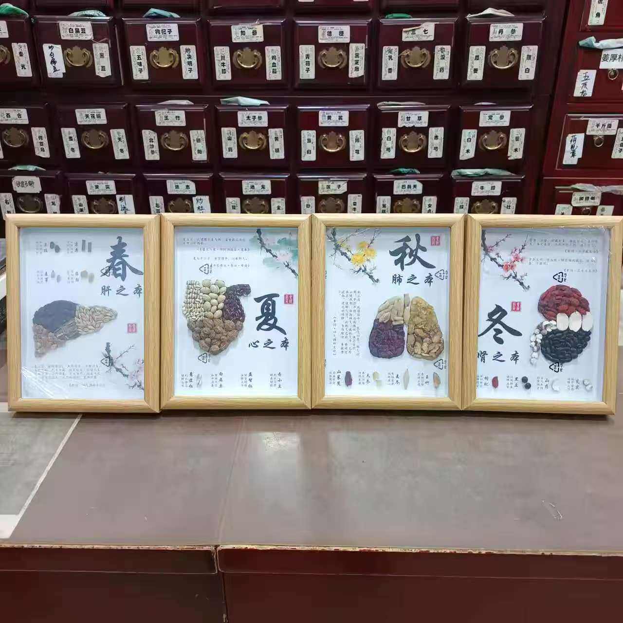 中药标本画中医药相画框养生四季五脏六腑中草药创意墙面装饰挂件