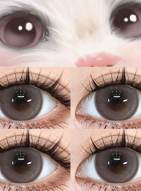 棕色美瞳半年抛正品官方旗舰店14.5大小直径自然款女隐形眼镜2xx