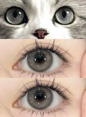 灰色美瞳半年抛女日常三明治大小直径隐形眼镜官方正品旗舰店0xx