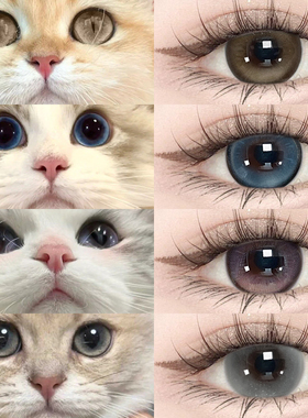 甜心猫咪美瞳半年抛蓝色混血大小直径隐形眼镜一年抛LX官方正品TN