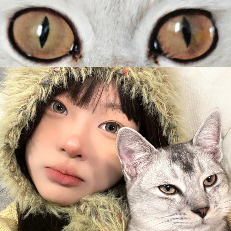 棕色系美瞳2片装半年抛正品欧美混血清透自然官网隐形眼镜EJLK